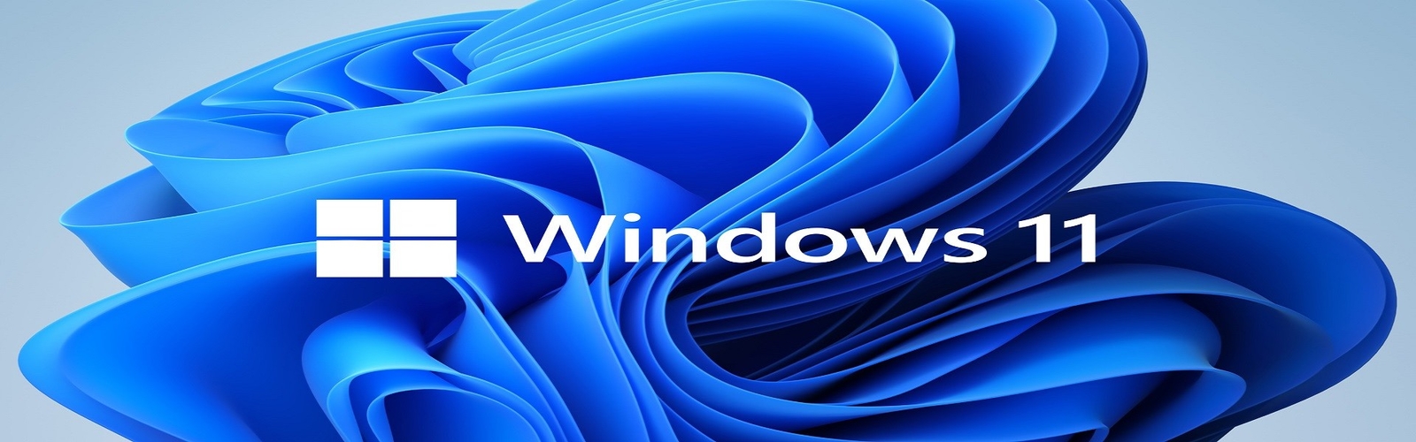software de Microsoft Windows